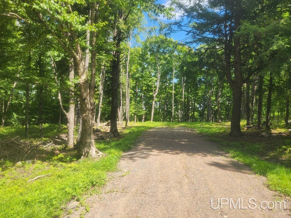 Tbd West Tamarack Lake Road, Unit LOT 5 Watersmeet, MI 49969 - Photo 15 of 66