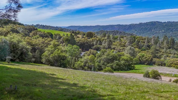 a view of a lush green hillside and a mountain