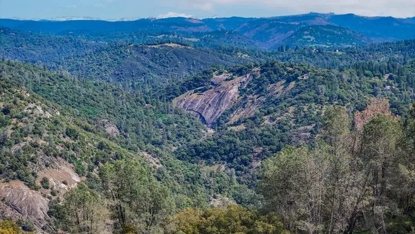 a view of a house with a street lush green forest
