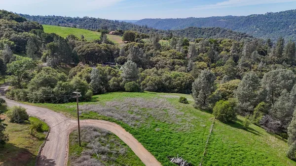 a view of a lush green hillside and a houses