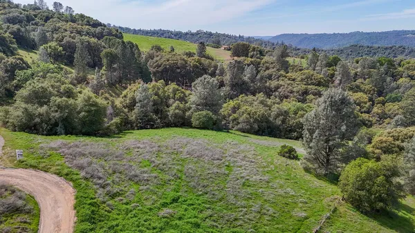 a view of a lush green hillside and a houses