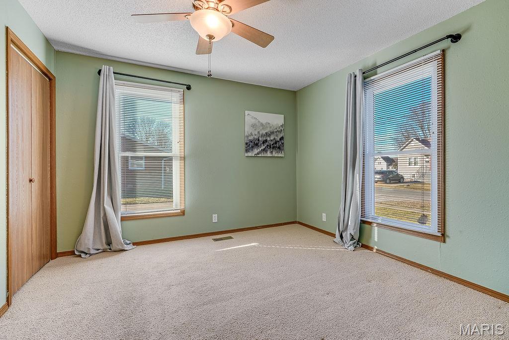 812 West Mill Street Staunton, IL 62088 - Photo 9 of 36