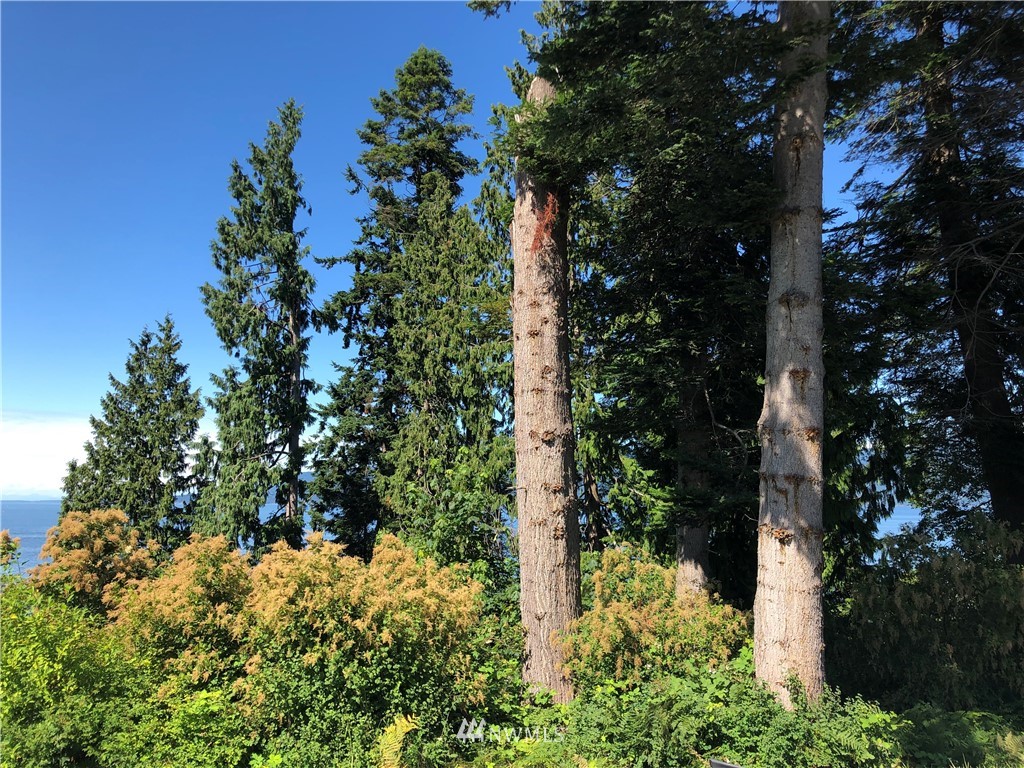 -nhn Halloran Road Bow, WA 98232 - Photo 14 of 16 Gallery Image 14