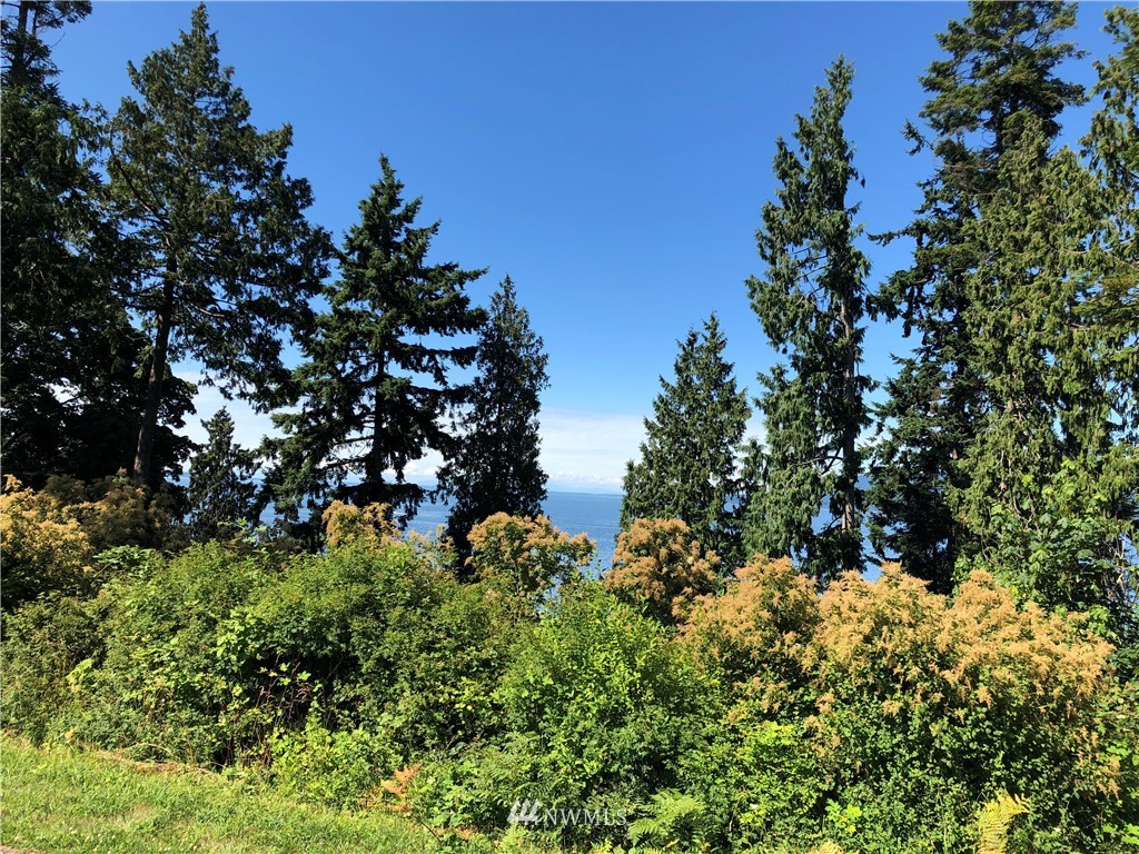 -nhn Halloran Road Bow, WA 98232 - Photo 15 of 16 Gallery Image 15