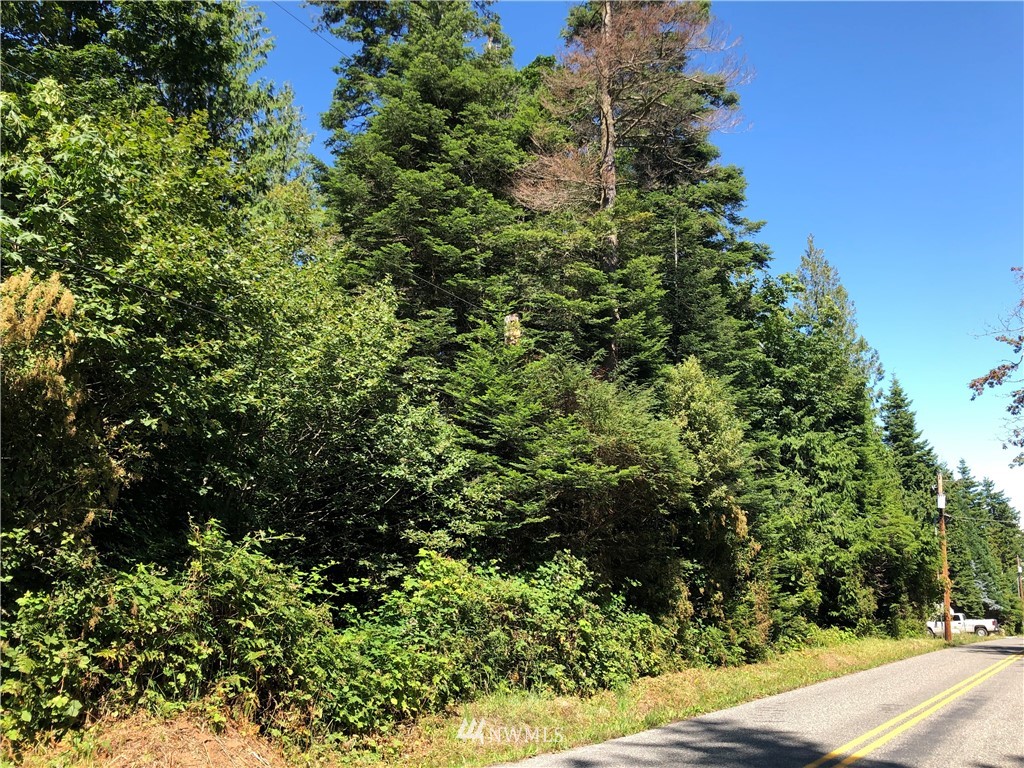 -nhn Halloran Road Bow, WA 98232 - Photo 4 of 16 Gallery Image 4