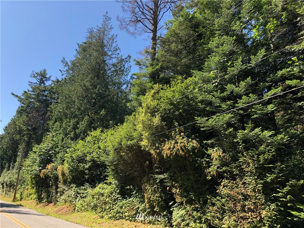 -nhn Halloran Road Bow, WA 98232 - Photo 7 of 16 Gallery Image 7