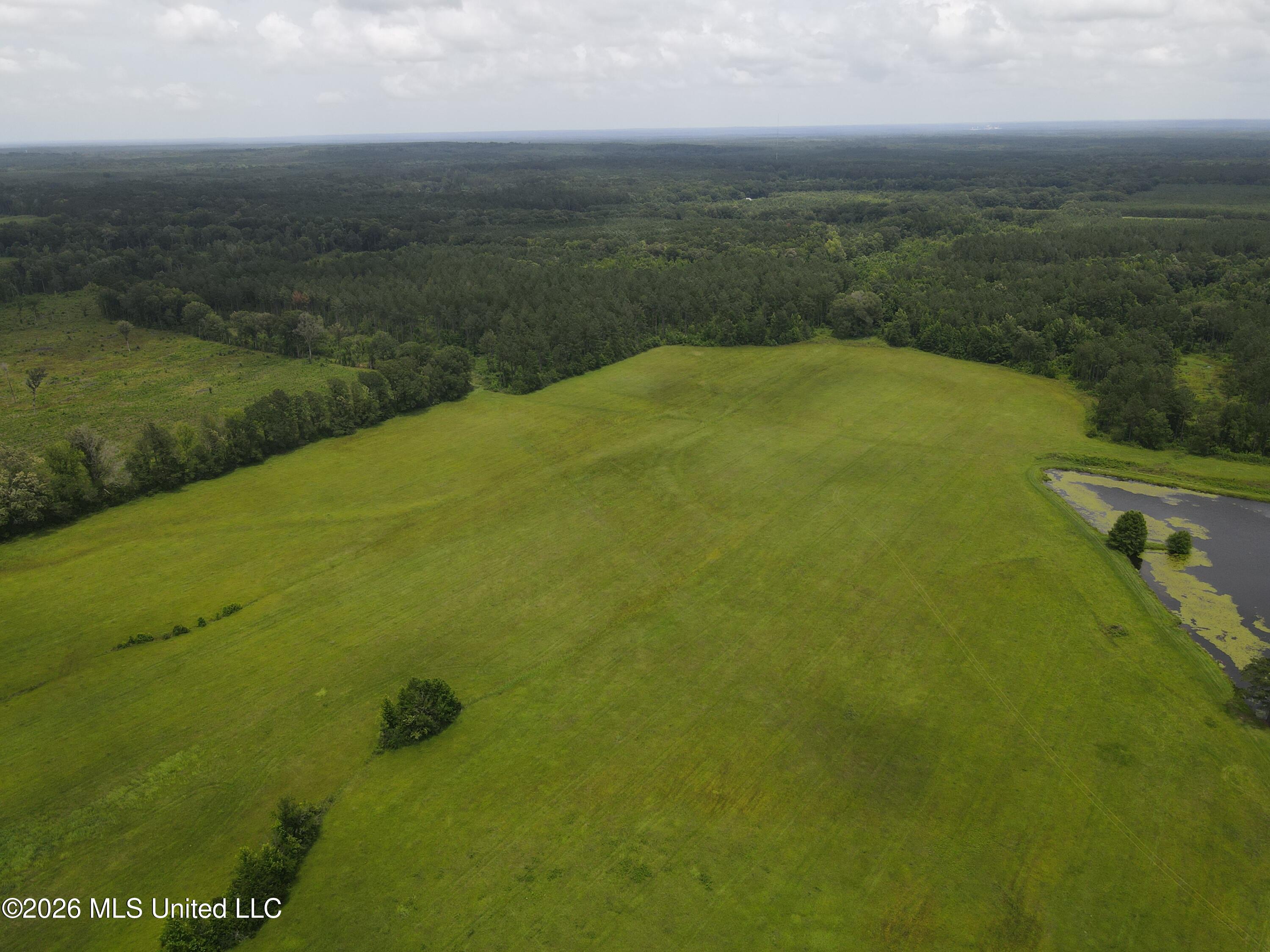 244 Foster Road Sontag, MS 39665 - Photo 42 of 105 35542
