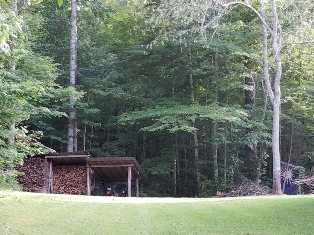 701 Little Pumpkin Valley Road Eidson, TN 37731 - Photo 28 of 36 Photo 28