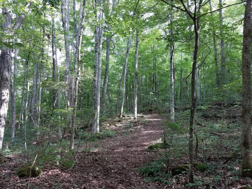 701 Little Pumpkin Valley Road Eidson, TN 37731 - Photo 30 of 36 Photo 30