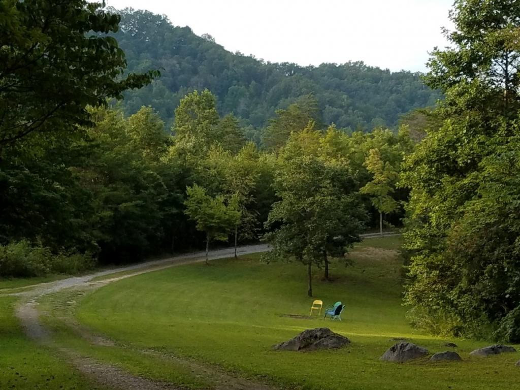 701 Little Pumpkin Valley Road Eidson, TN 37731 - Photo 4 of 36 Photo 4