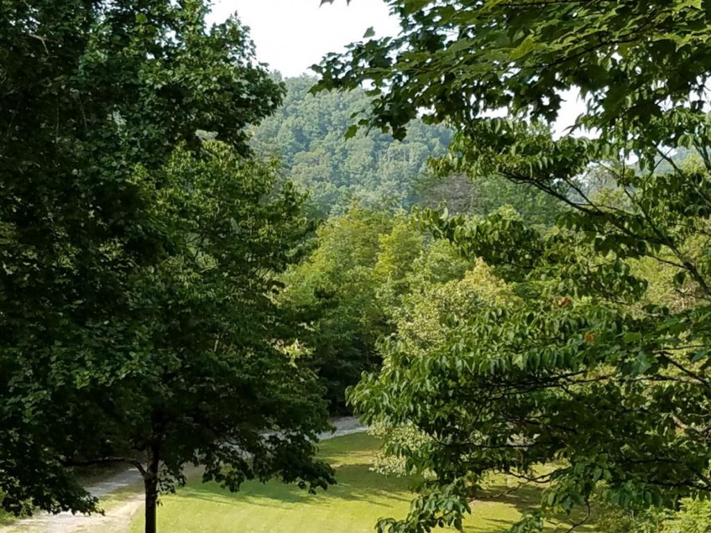 701 Little Pumpkin Valley Road Eidson, TN 37731 - Photo 34 of 36 Photo 34