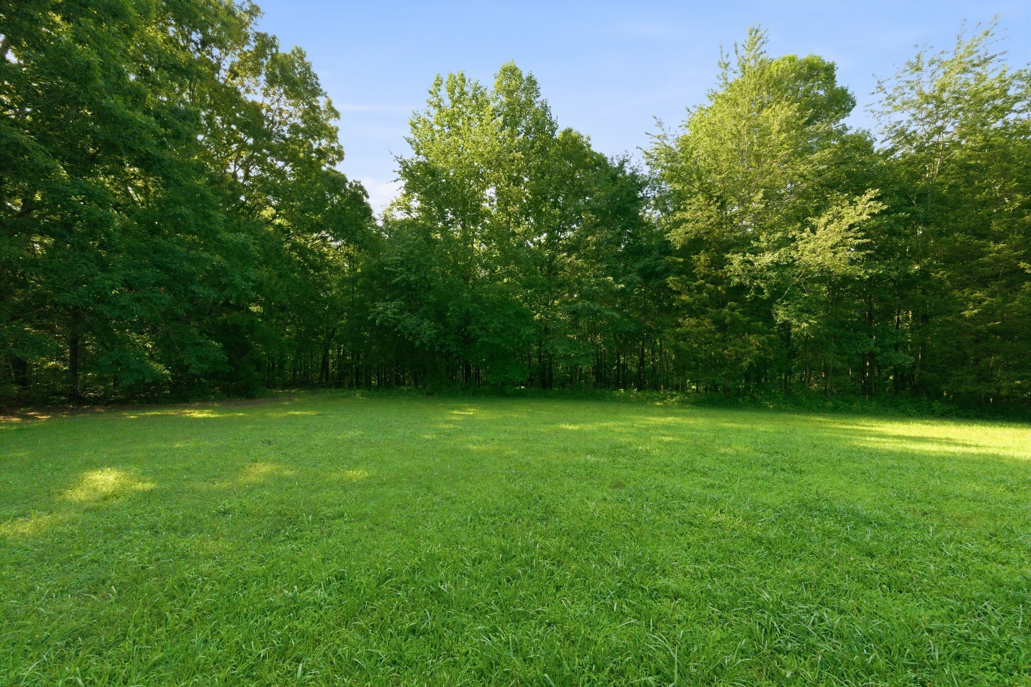 896 Hawkins Road White Bluff, TN 37187 - Photo 27 of 30