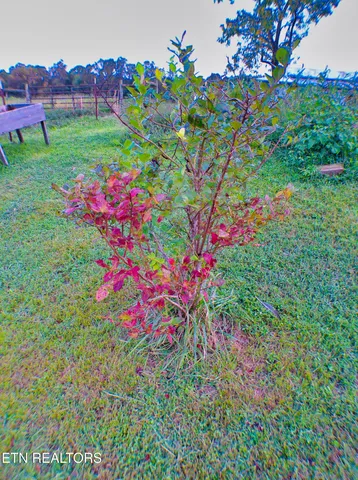 $645,000 | 1139 Deer Lodge Highway, Sunbright, TN 37872