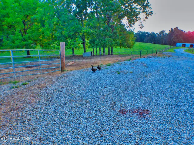 $645,000 | 1139 Deer Lodge Highway, Sunbright, TN 37872