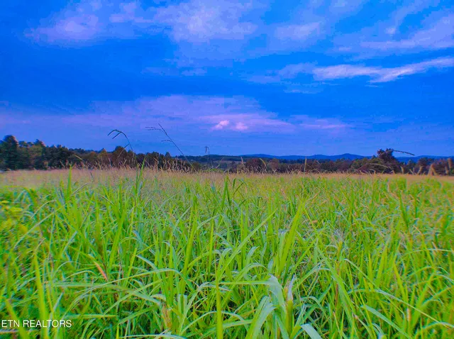 $645,000 | 1139 Deer Lodge Highway, Sunbright, TN 37872