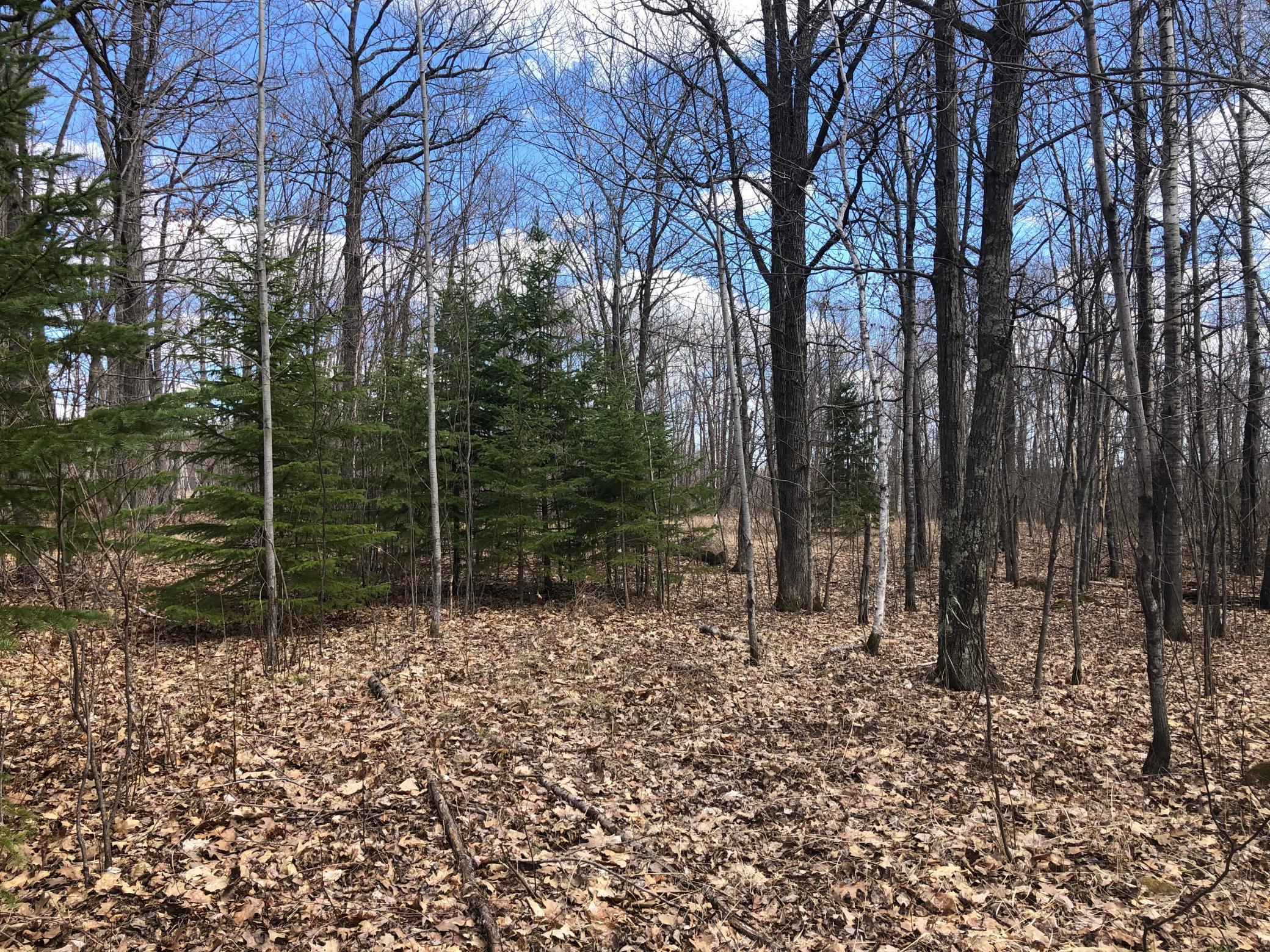Xxx Purull Kowitz Road Willow River, MN 55795 - Photo 1 of 14 Gallery Image 1