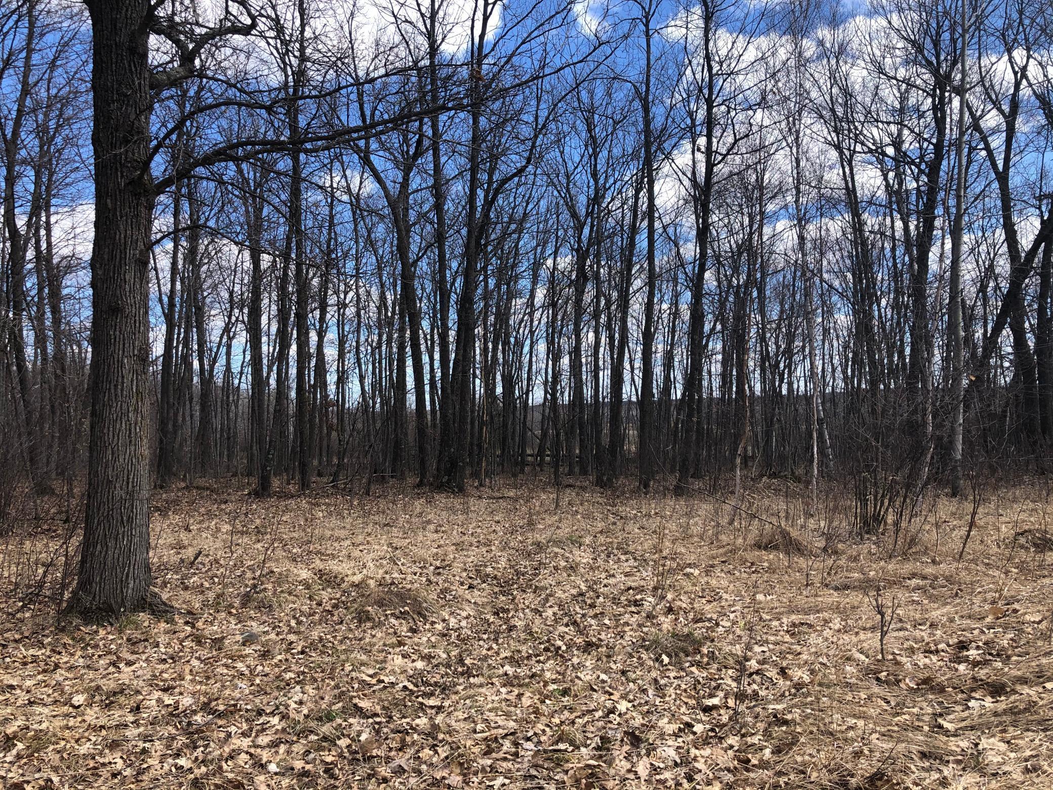 Xxx Purull Kowitz Road Willow River, MN 55795 - Photo 6 of 14 Gallery Image 6