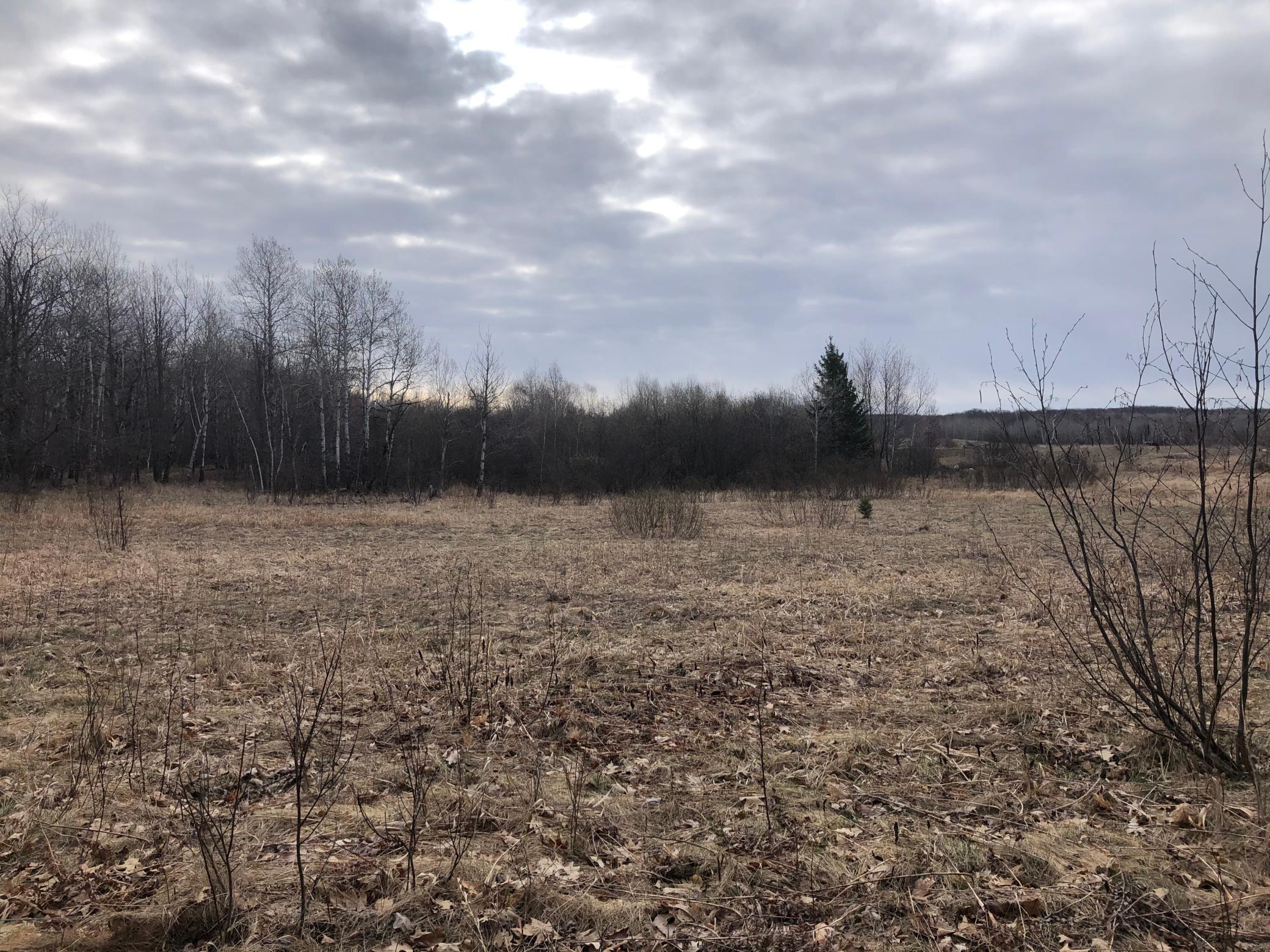 Xxx Purull Kowitz Road Willow River, MN 55795 - Photo 7 of 14 Gallery Image 7