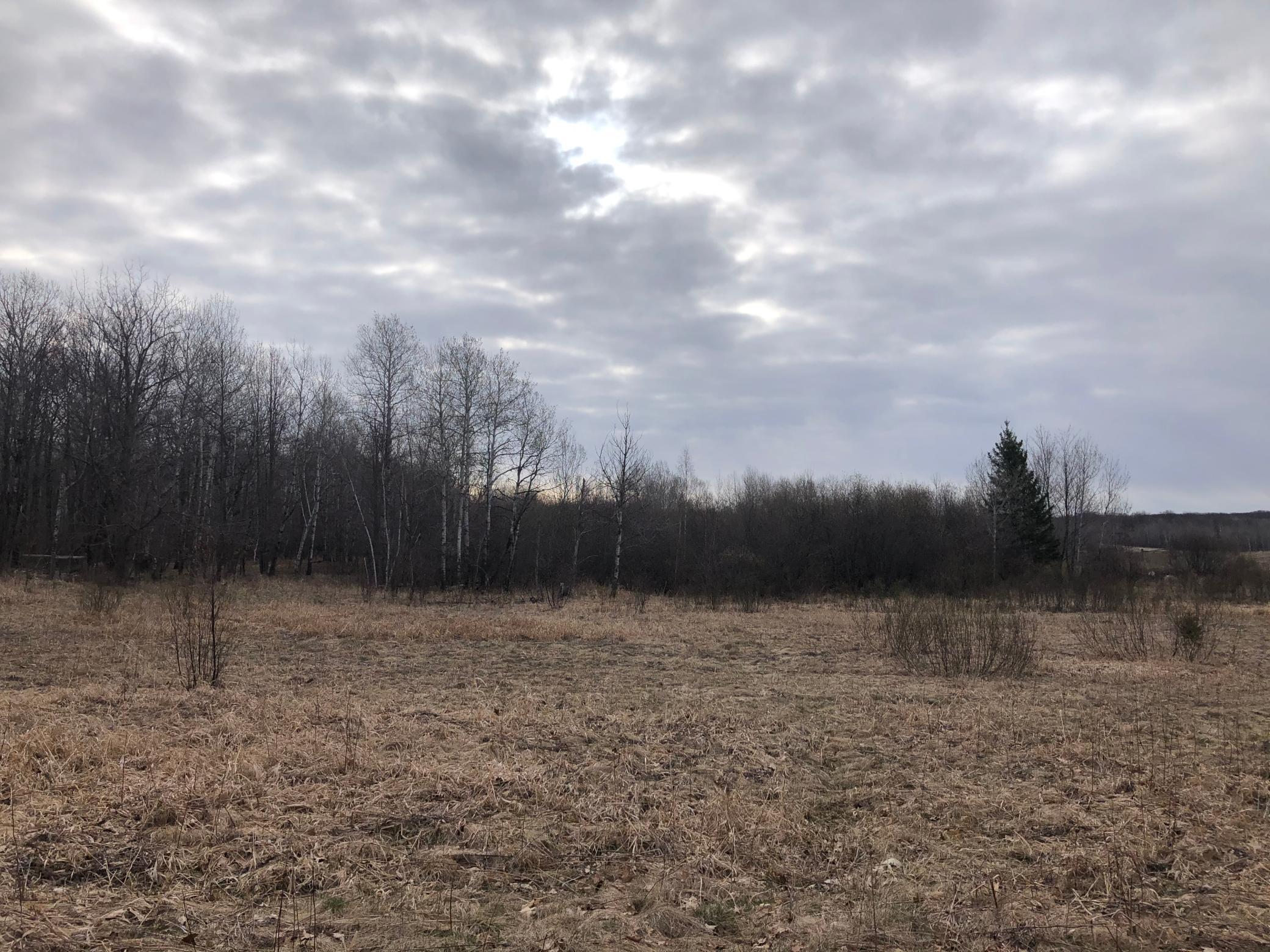 Xxx Purull Kowitz Road Willow River, MN 55795 - Photo 8 of 14 Gallery Image 8