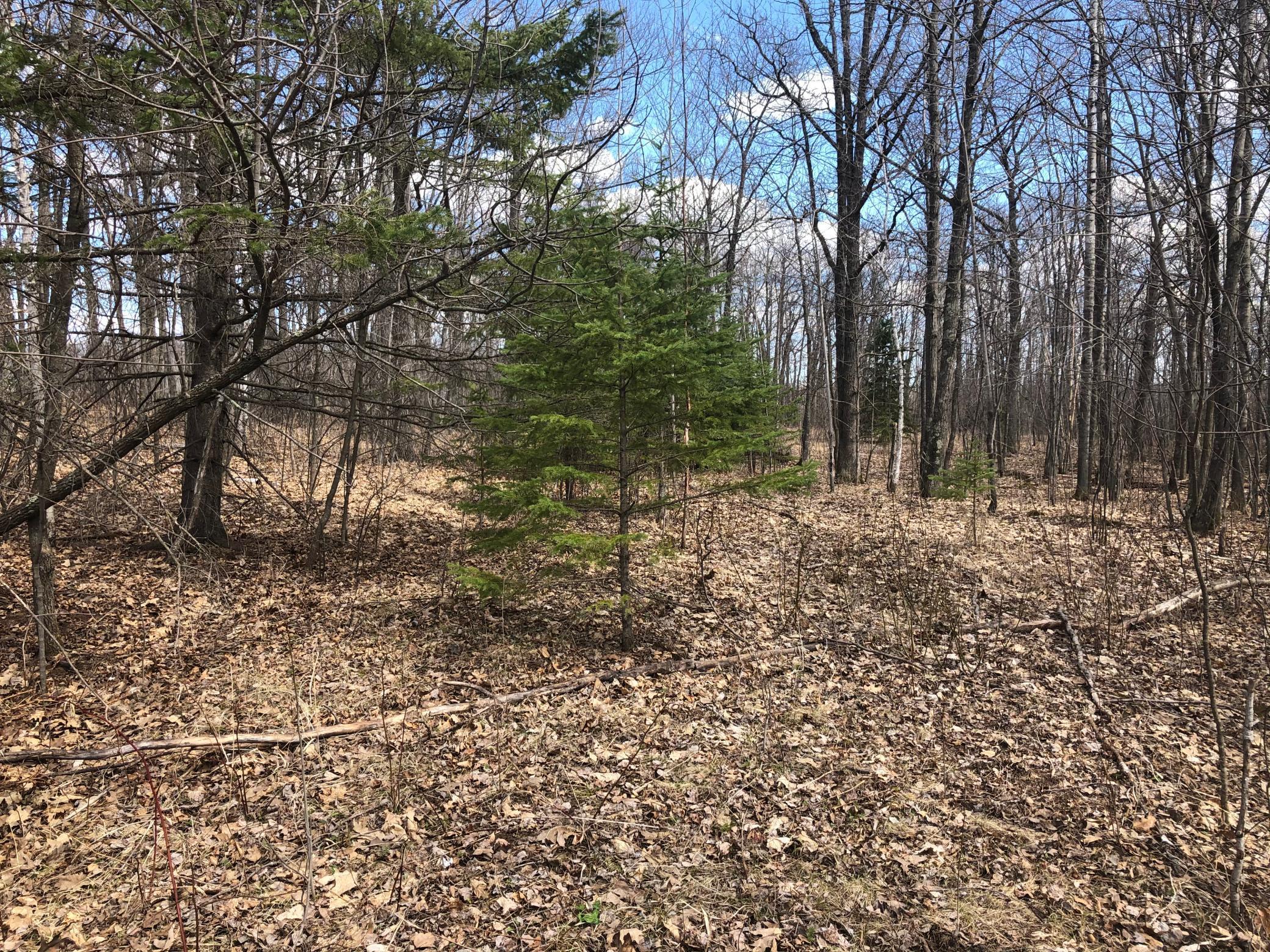 Xxx Purull Kowitz Road Willow River, MN 55795 - Photo 10 of 14 Gallery Image 10