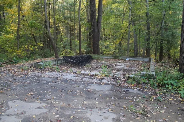 a view of outdoor space and green space