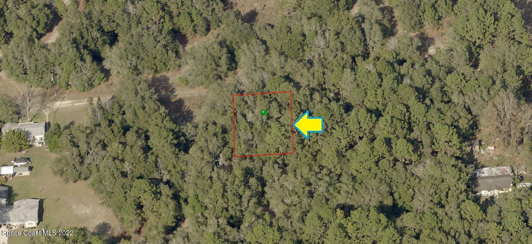 1909 Lorena Street Inverness, FL 34453 - Photo 1 of 5 a view of a forest with a tree