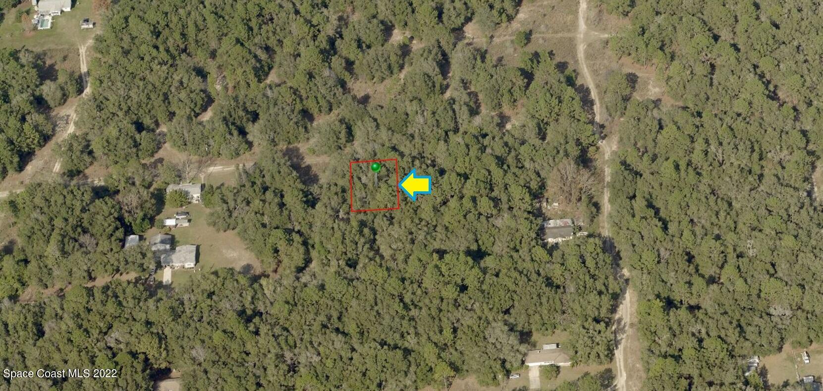 1909 Lorena Street Inverness, FL 34453 - Photo 4 of 5 a view of a yard with a tree