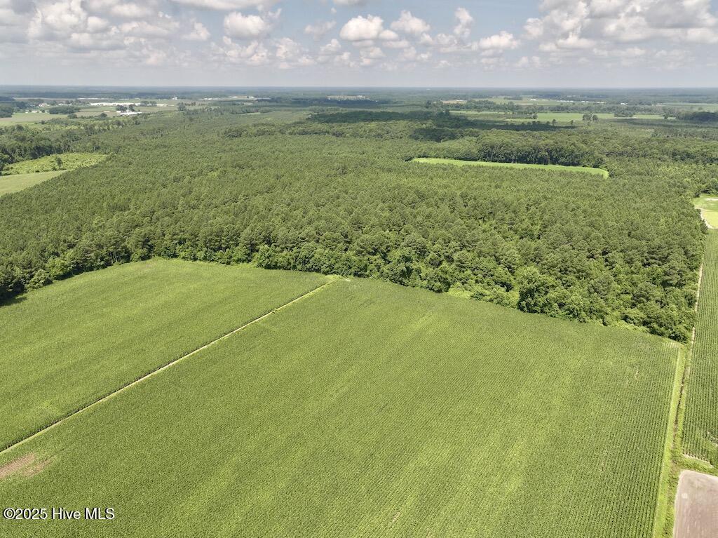 3 Albritton Road Snow Hill, NC 28580 - Photo 6 of 27 3
