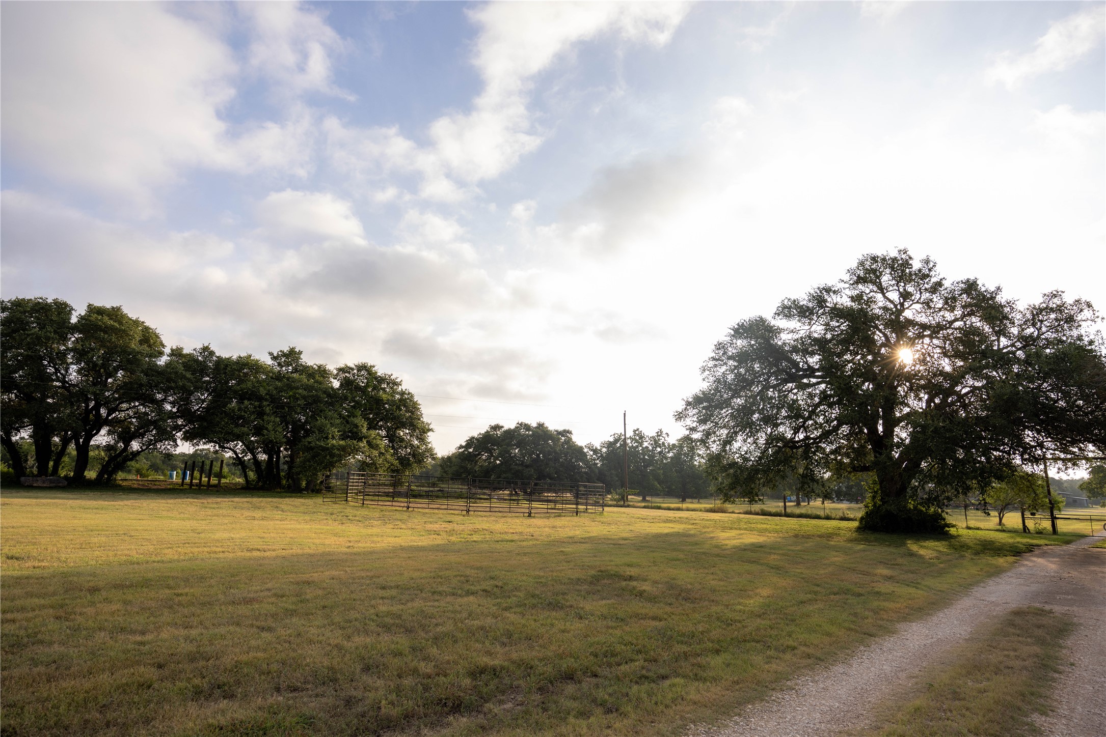 240 Lanier Ranch Road, Unit B Driftwood, TX 78619 - Photo 18 of 26 Mature trees shade this spacious, verdant lot with a gravel driveway, ideal for serene country living.