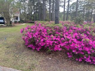 865 Trail Ridge Road Aiken, SC 29803 - Photo 53 of 53