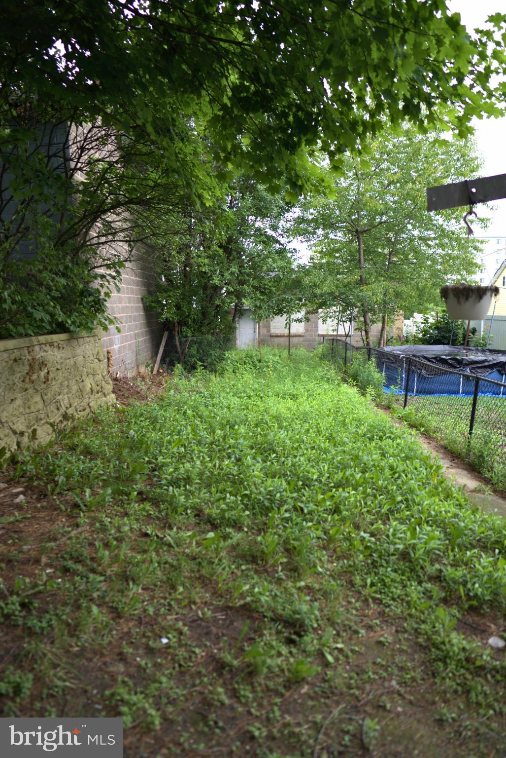 74 South Cedar Street Hazleton, PA 18201 - Photo 14 of 15 Lush green retreat in a serene setting.
