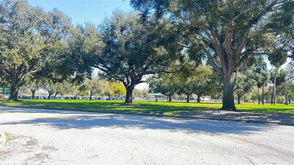 a view of a big yard with plants and large trees