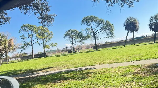 a view of a park with palm trees