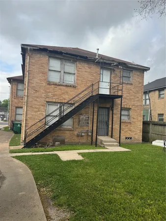 a view of a backyard with plants and large tree