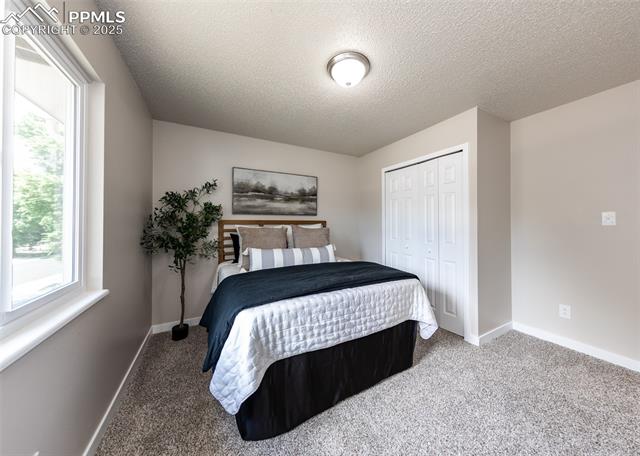 4750 Cheerful Road Colorado Springs, CO 80917 - Photo 20 of 48 Bedroom 1 with carpeted flooring