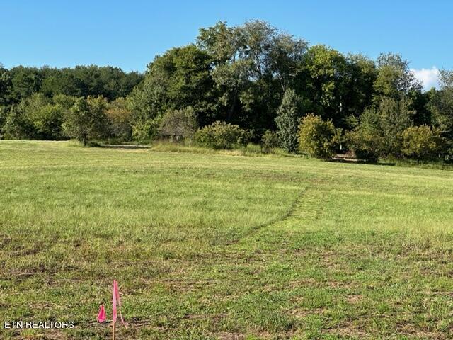0 Salem Road Greeneville, TN 37743 - Photo 1 of 16 IMG_0515