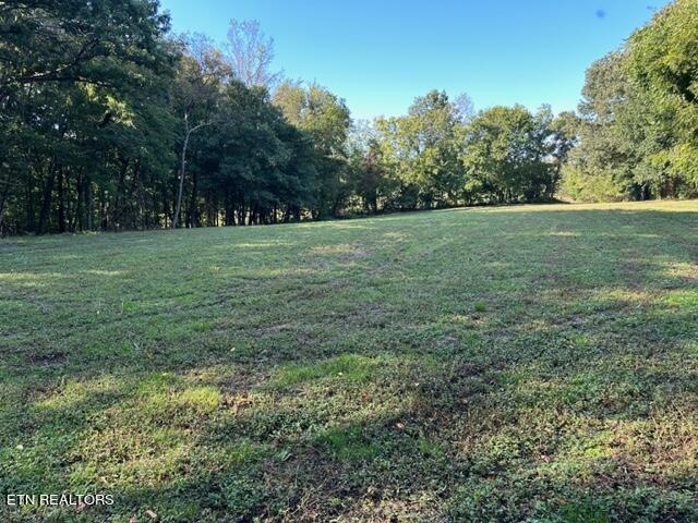 0 Salem Road Greeneville, TN 37743 - Photo 11 of 16 IMG_0520