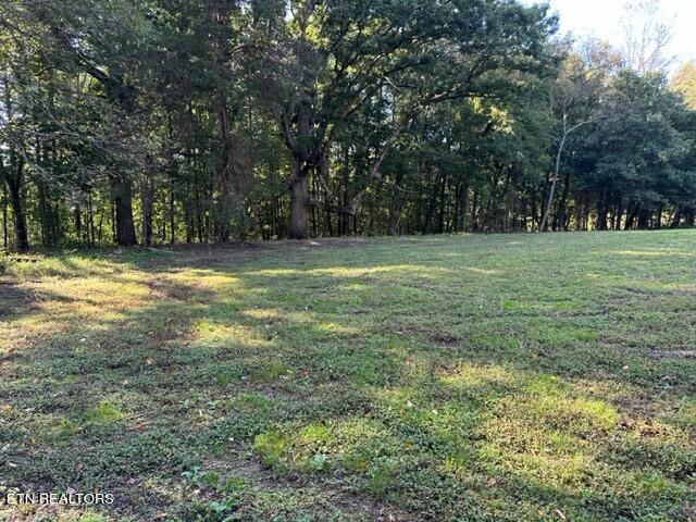 0 Salem Road Greeneville, TN 37743 - Photo 12 of 16 IMG_0521