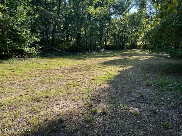 0 Salem Road Greeneville, TN 37743 - Photo 14 of 16 IMG_0523