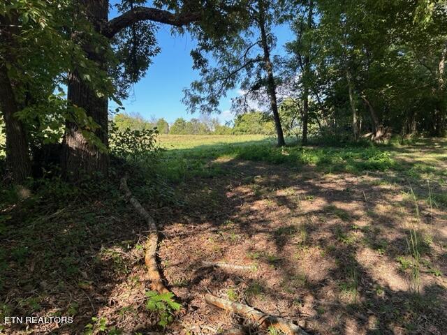 0 Salem Road Greeneville, TN 37743 - Photo 15 of 16 IMG_0524