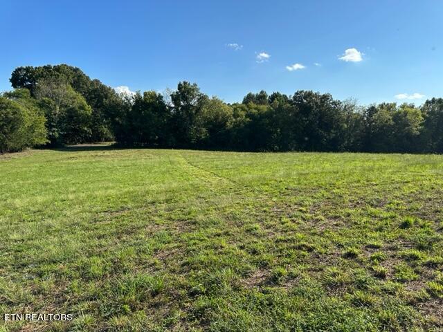 0 Salem Road Greeneville, TN 37743 - Photo 2 of 16 IMG_0513