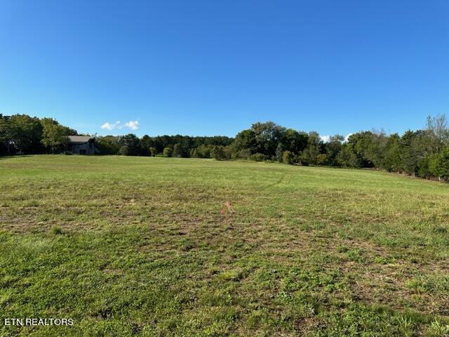 0 Salem Road Greeneville, TN 37743 - Photo 3 of 16 IMG_0516