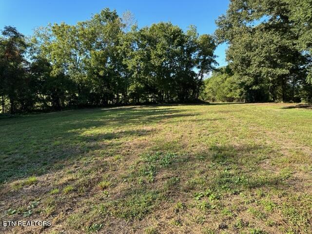 0 Salem Road Greeneville, TN 37743 - Photo 10 of 16 IMG_0519