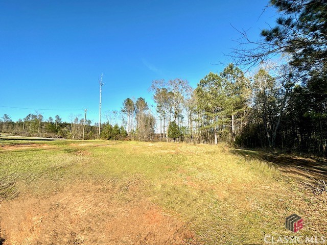 1 Dora Bush Hill Road McRae-Helena, GA 31037 - Photo 1 of 32