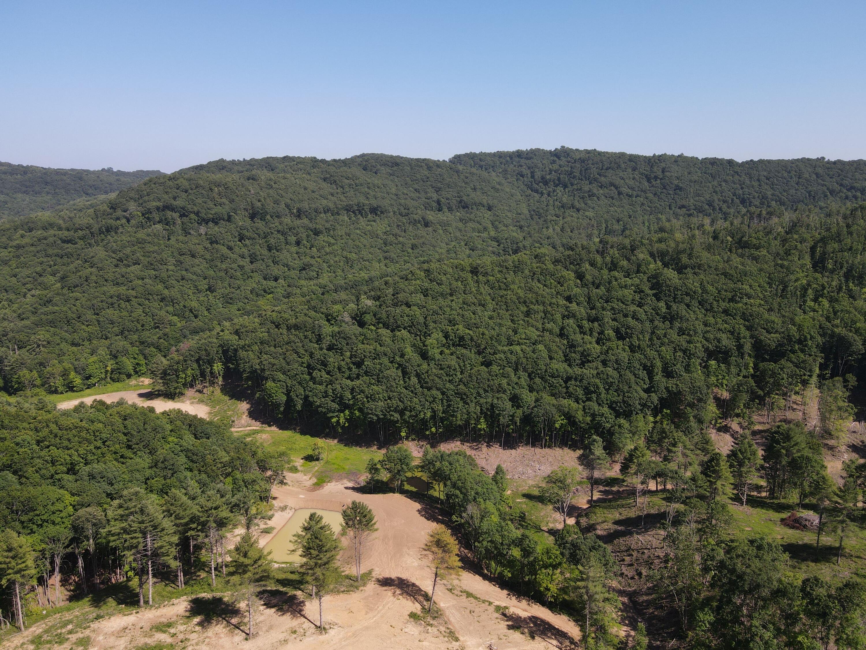 Suck Creek Road Jumping Branch, WV 25969 - Photo 21 of 52 Gallery Image 21