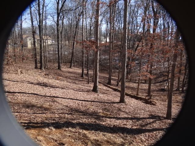 737 River Road Kodak, TN 37764 - Photo 3 of 14 River_Backyard