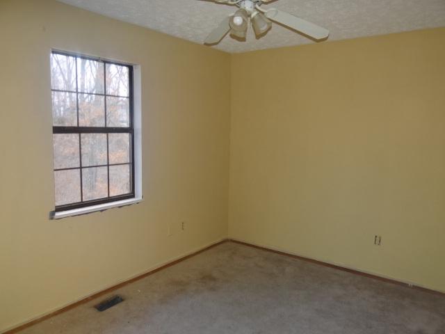737 River Road Kodak, TN 37764 - Photo 8 of 14 River_BR3