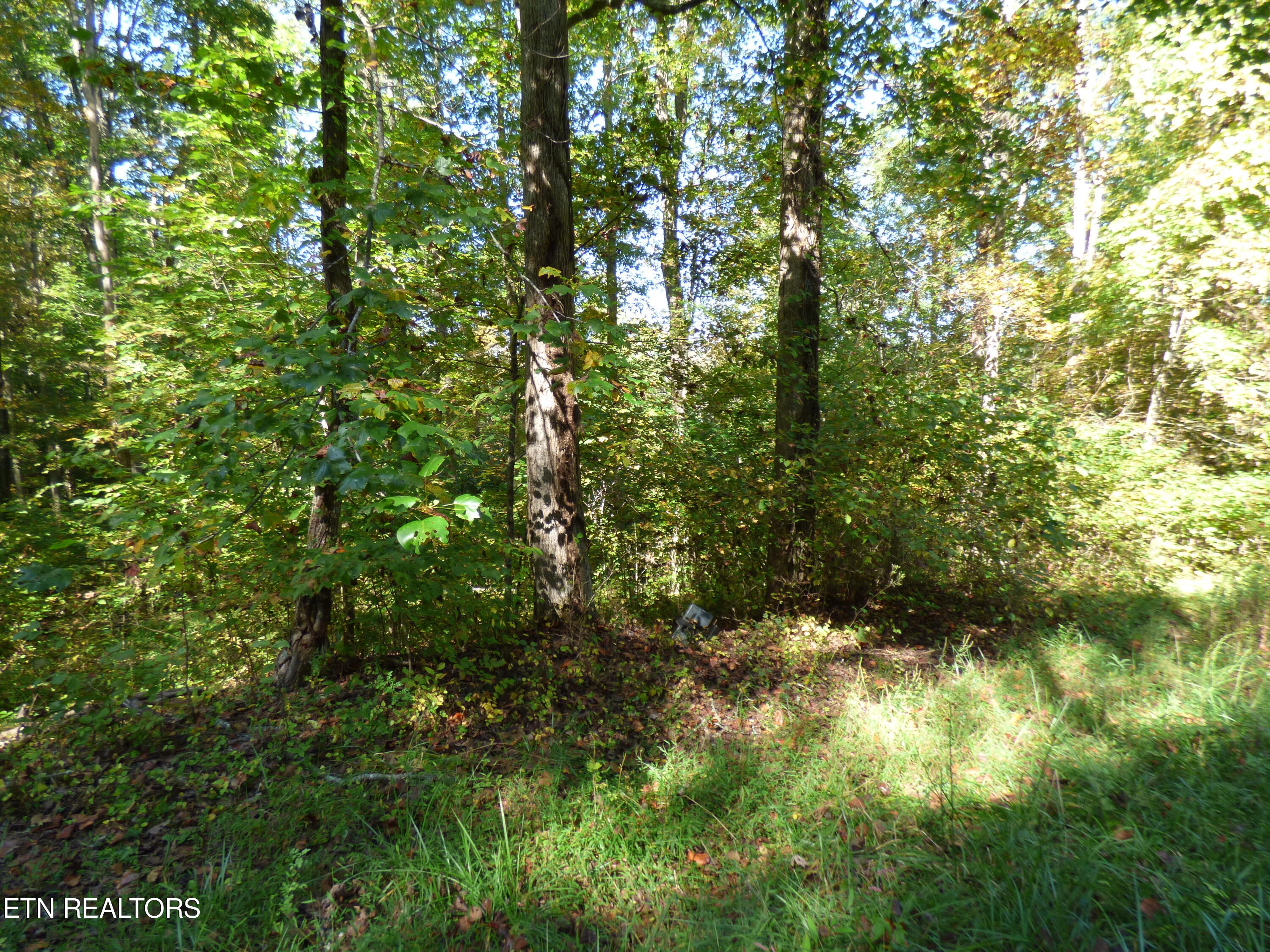 Prentice Street Crossville, TN 38555 - Photo 2 of 5 P1070351