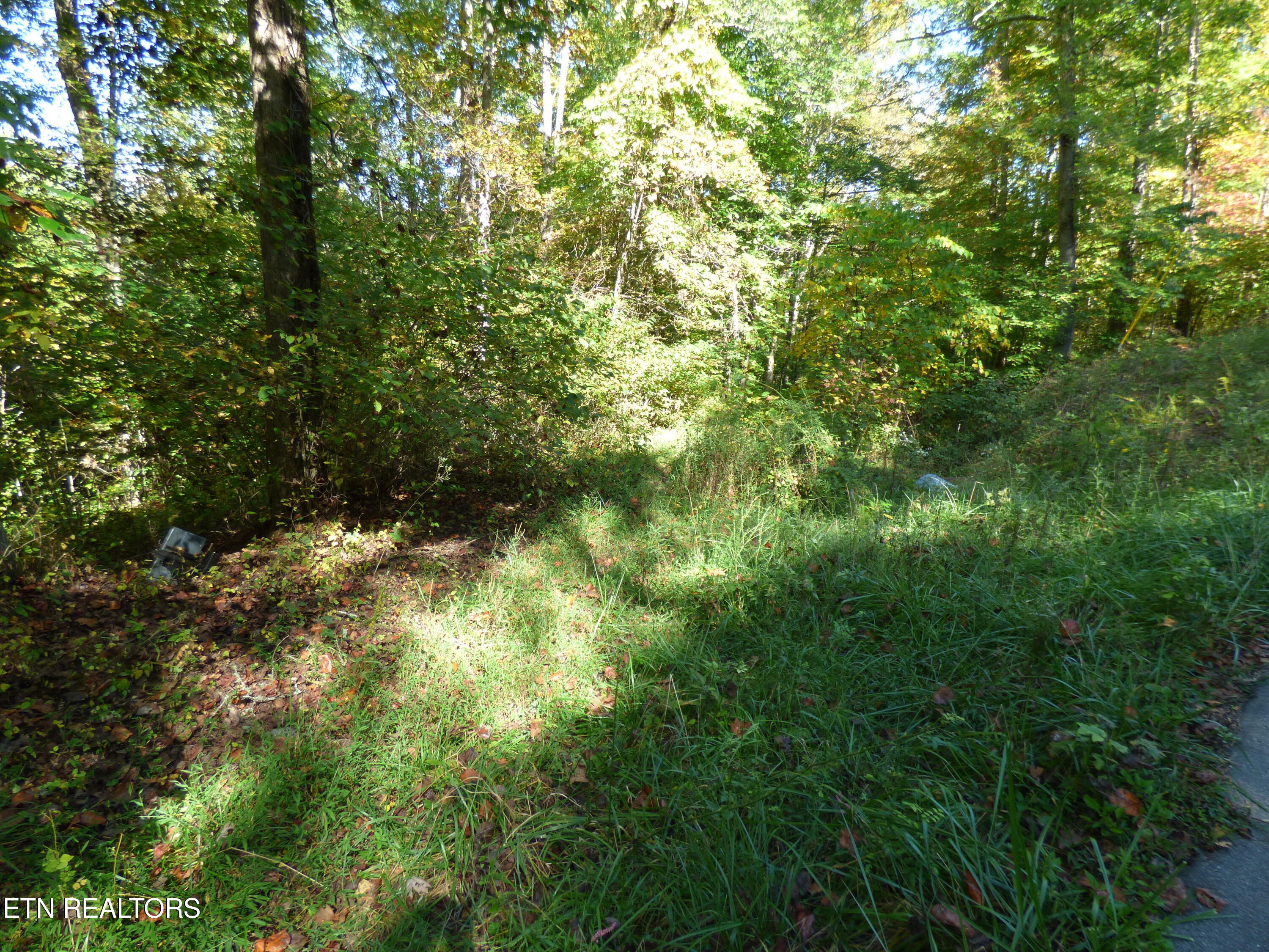 Prentice Street Crossville, TN 38555 - Photo 3 of 5 P1070352