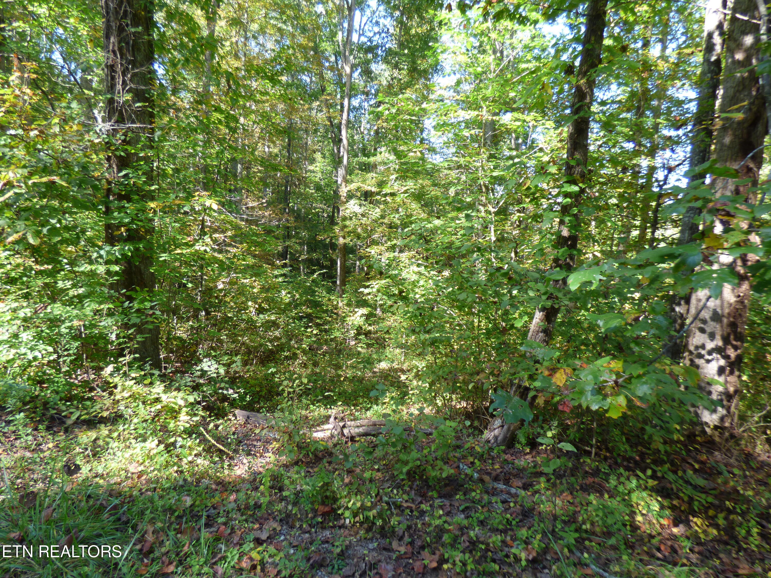 Prentice Street Crossville, TN 38555 - Photo 4 of 5 P1070353